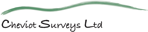 Cheviot Surveys logo (links to home page)